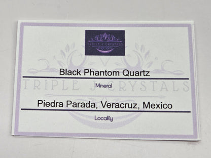 Black Phantom Quartz
