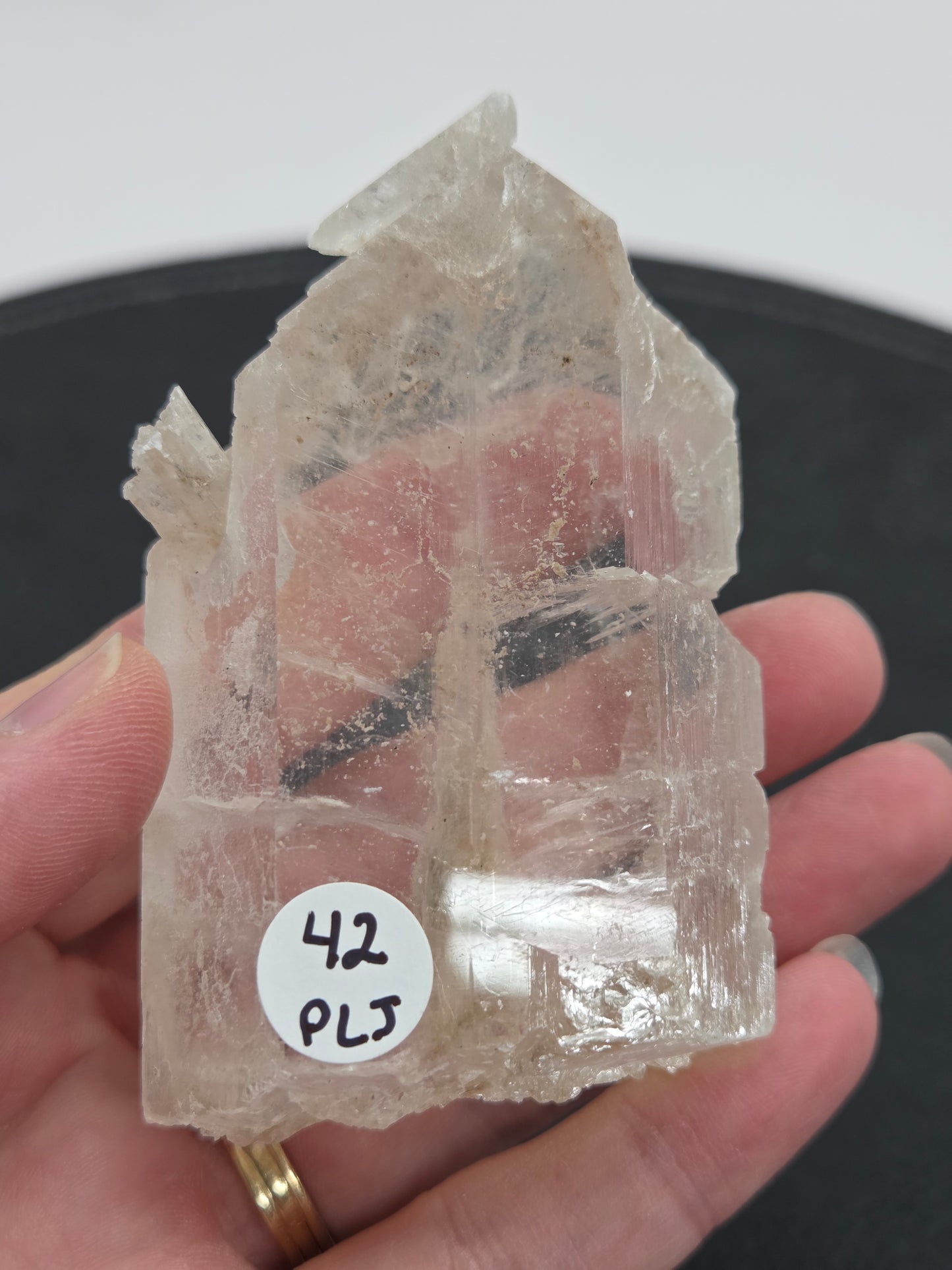 Laguna del Rey Fish Tail Selenite