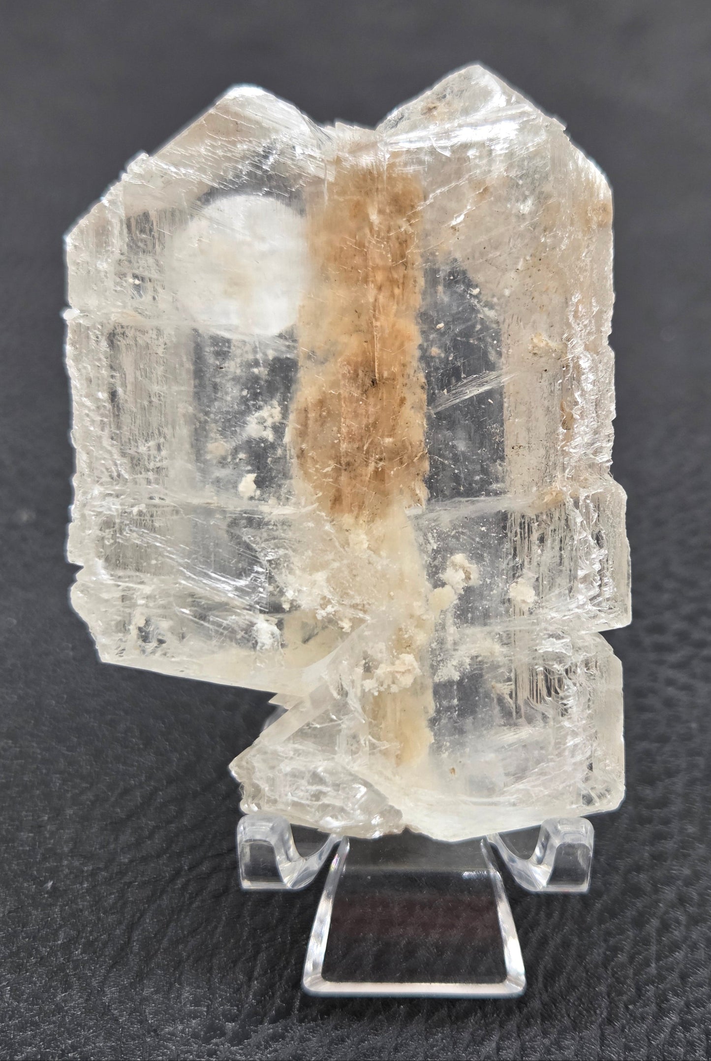 Laguna del Rey Fish Tail Selenite