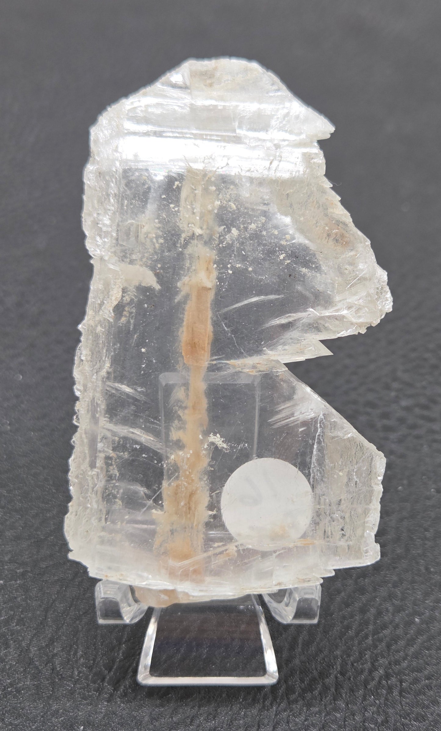 Laguna del Rey Fish Tail Selenite