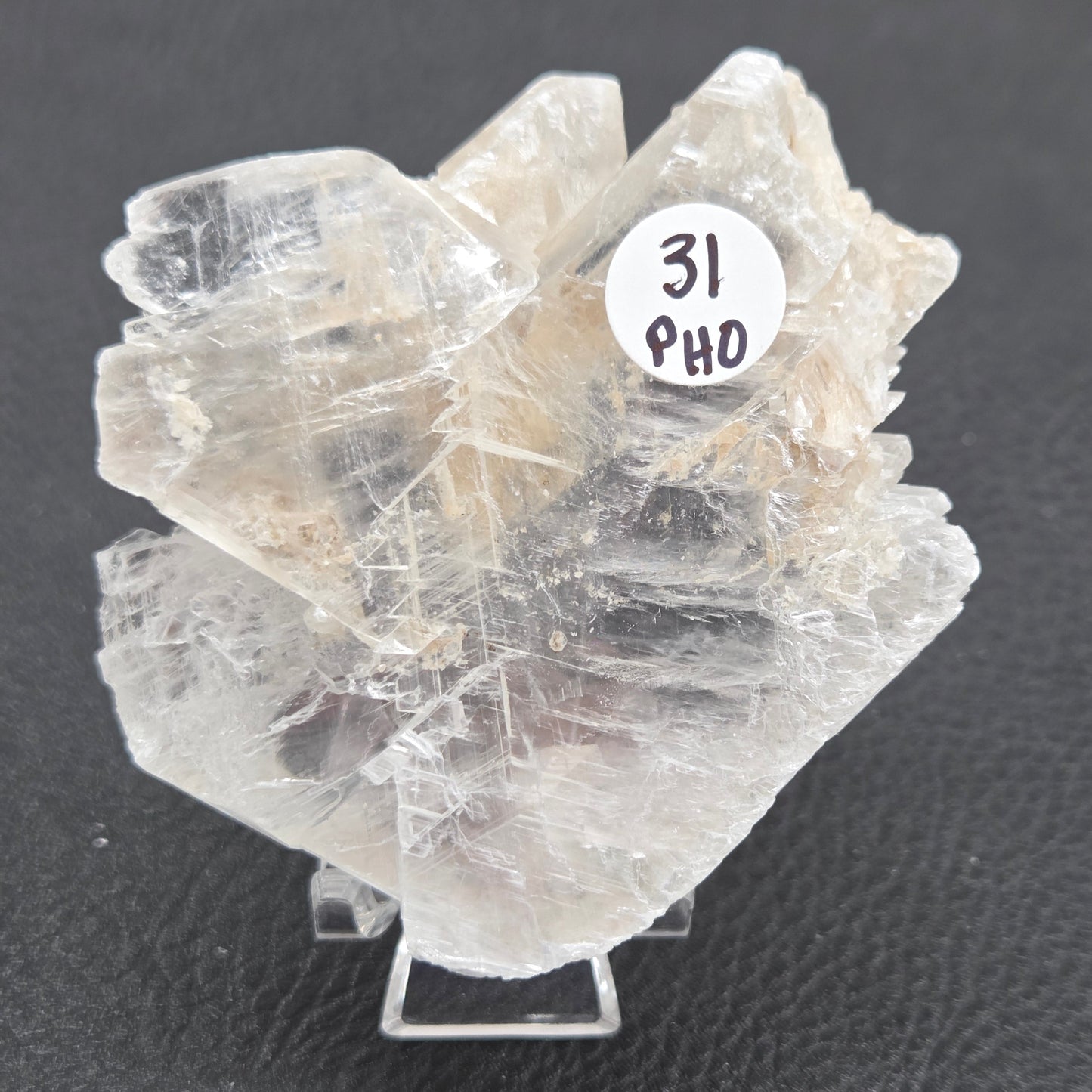 Laguna del Rey Fish Tail Selenite