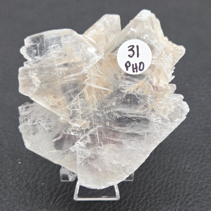 Laguna del Rey Fish Tail Selenite