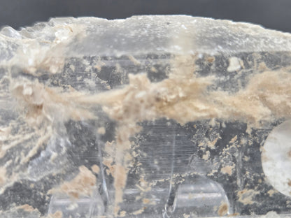 Laguna del Rey Fish Tail Selenite
