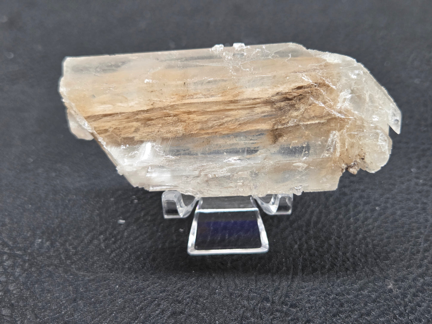 Laguna del Rey Fish Tail Selenite