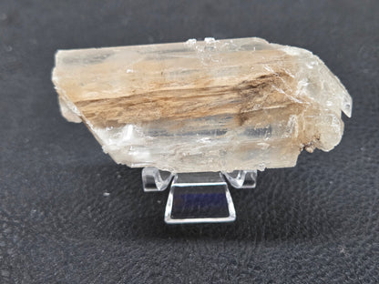 Laguna del Rey Fish Tail Selenite