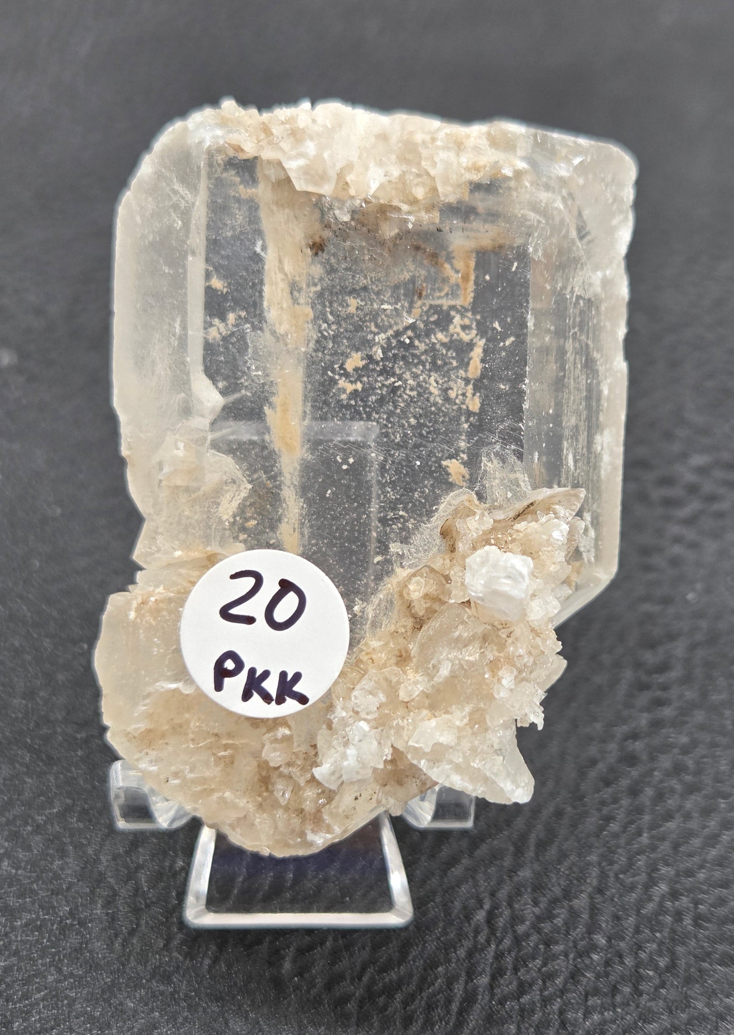 Laguna del Rey Fish Tail Selenite