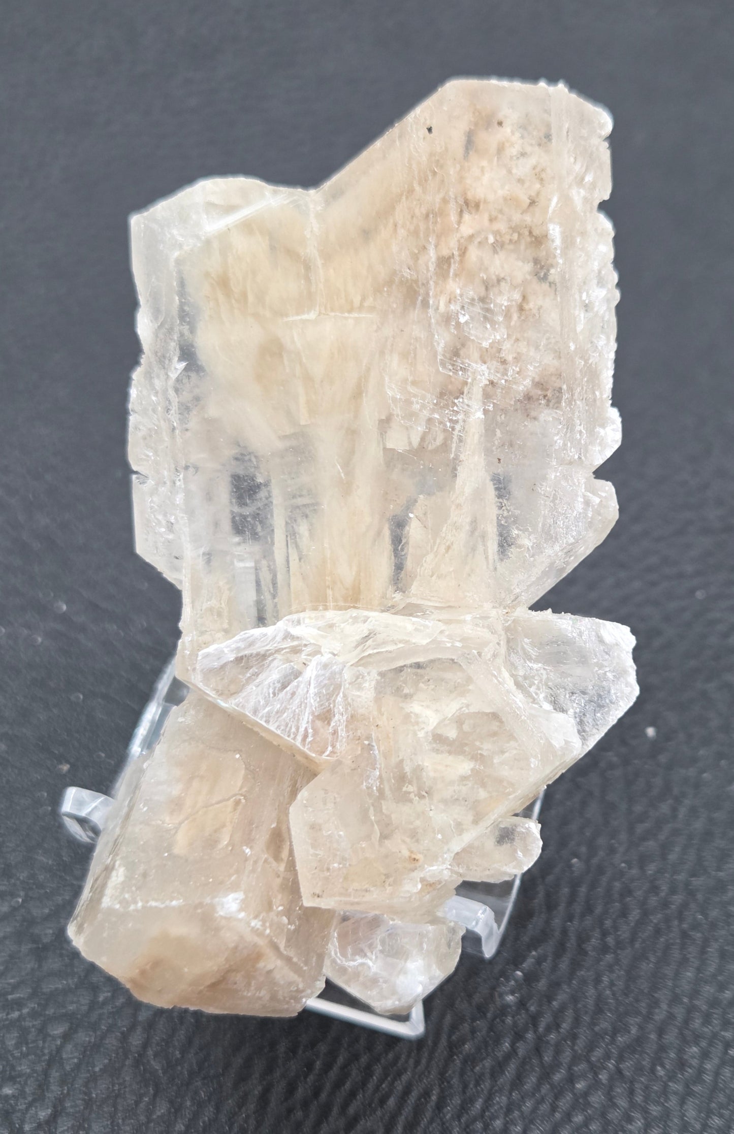 Laguna del Rey Fish Tail Selenite