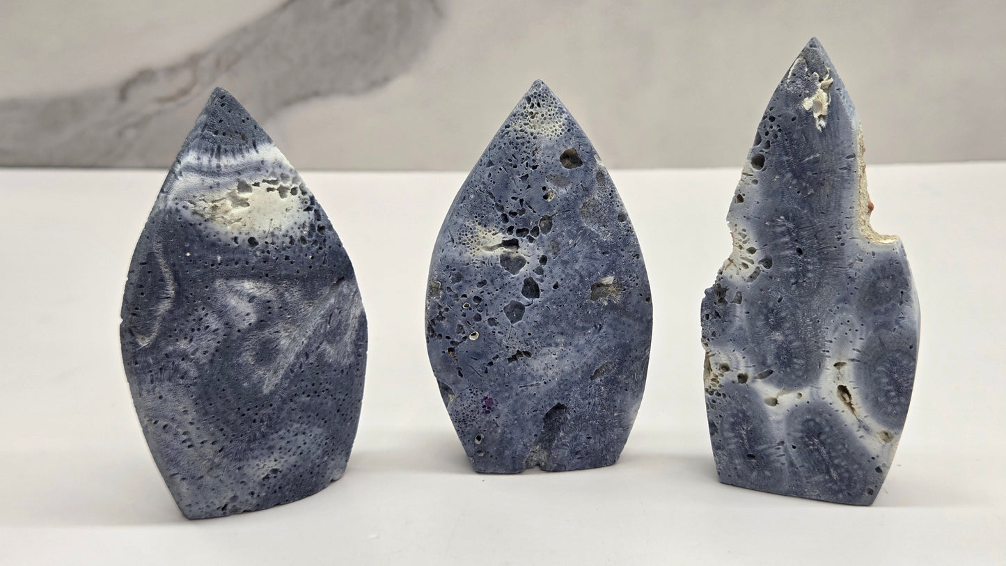 Blue Coral teardrop