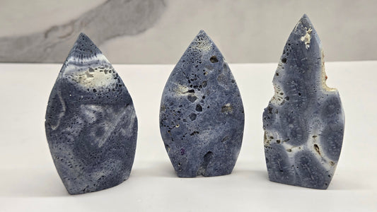 Blue Coral teardrop