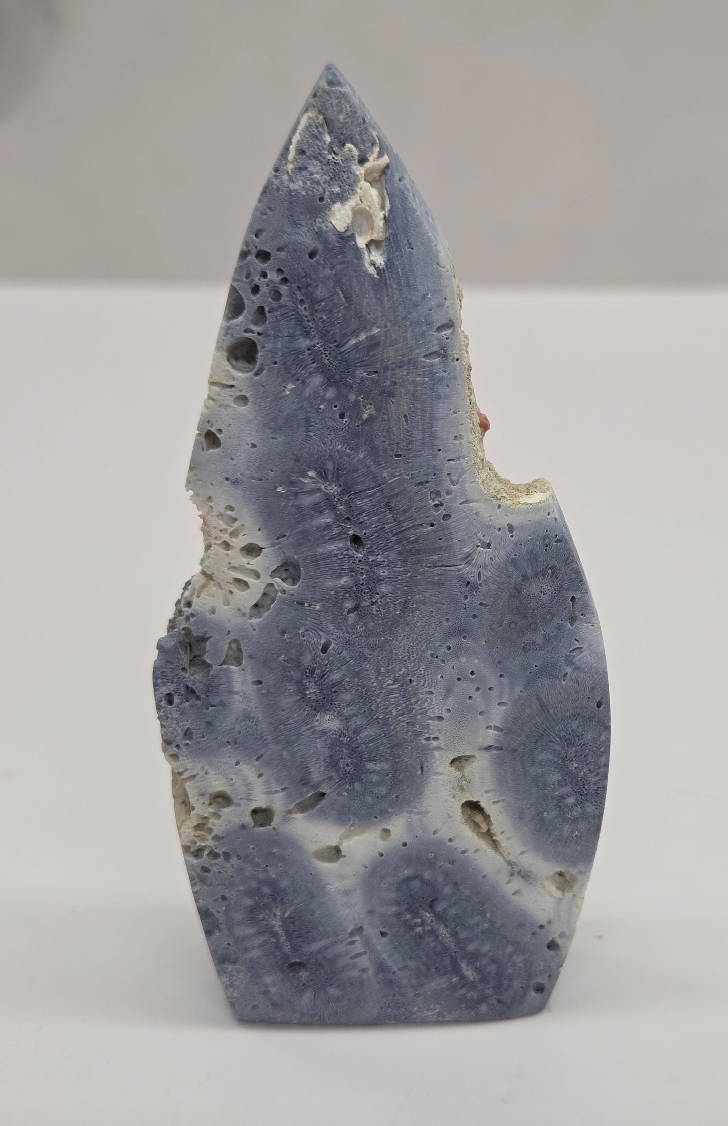 Blue Coral teardrop