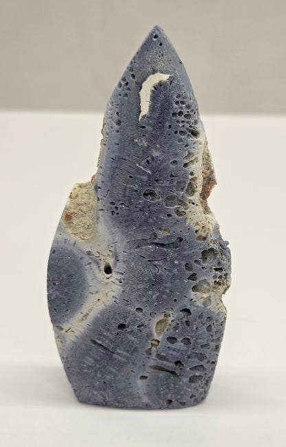 Blue Coral teardrop