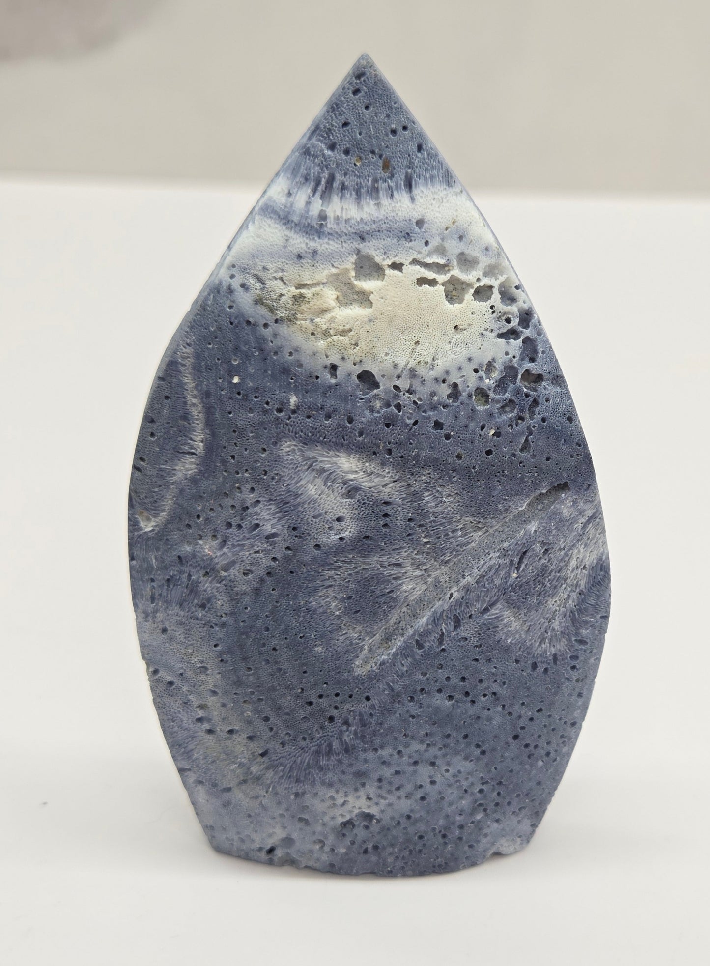 Blue Coral teardrop