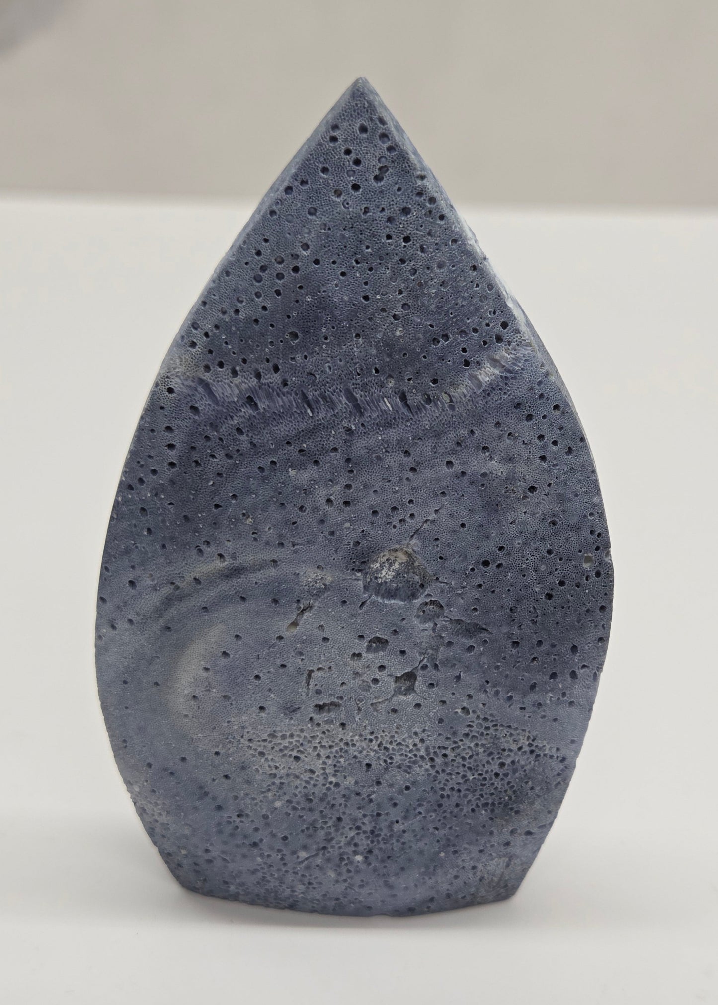 Blue Coral teardrop