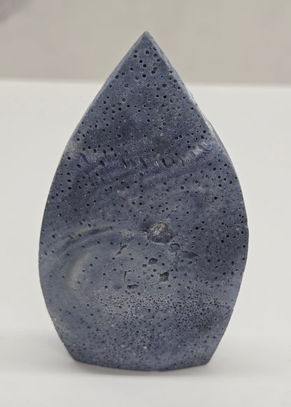 Blue Coral teardrop