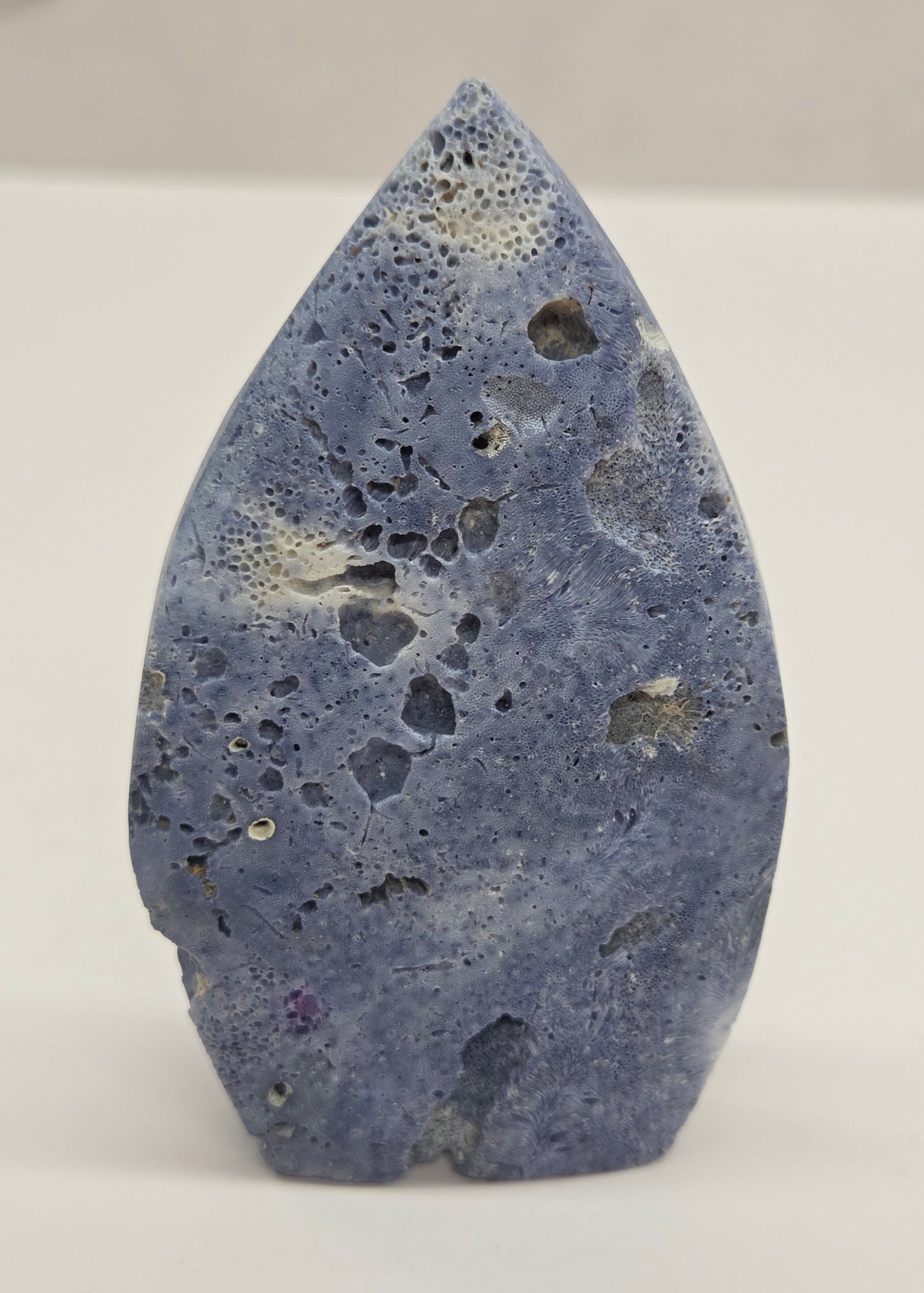 Blue Coral teardrop