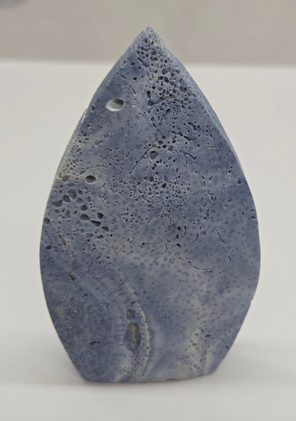 Blue Coral teardrop