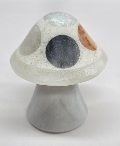 Mexican Onyx mushroom