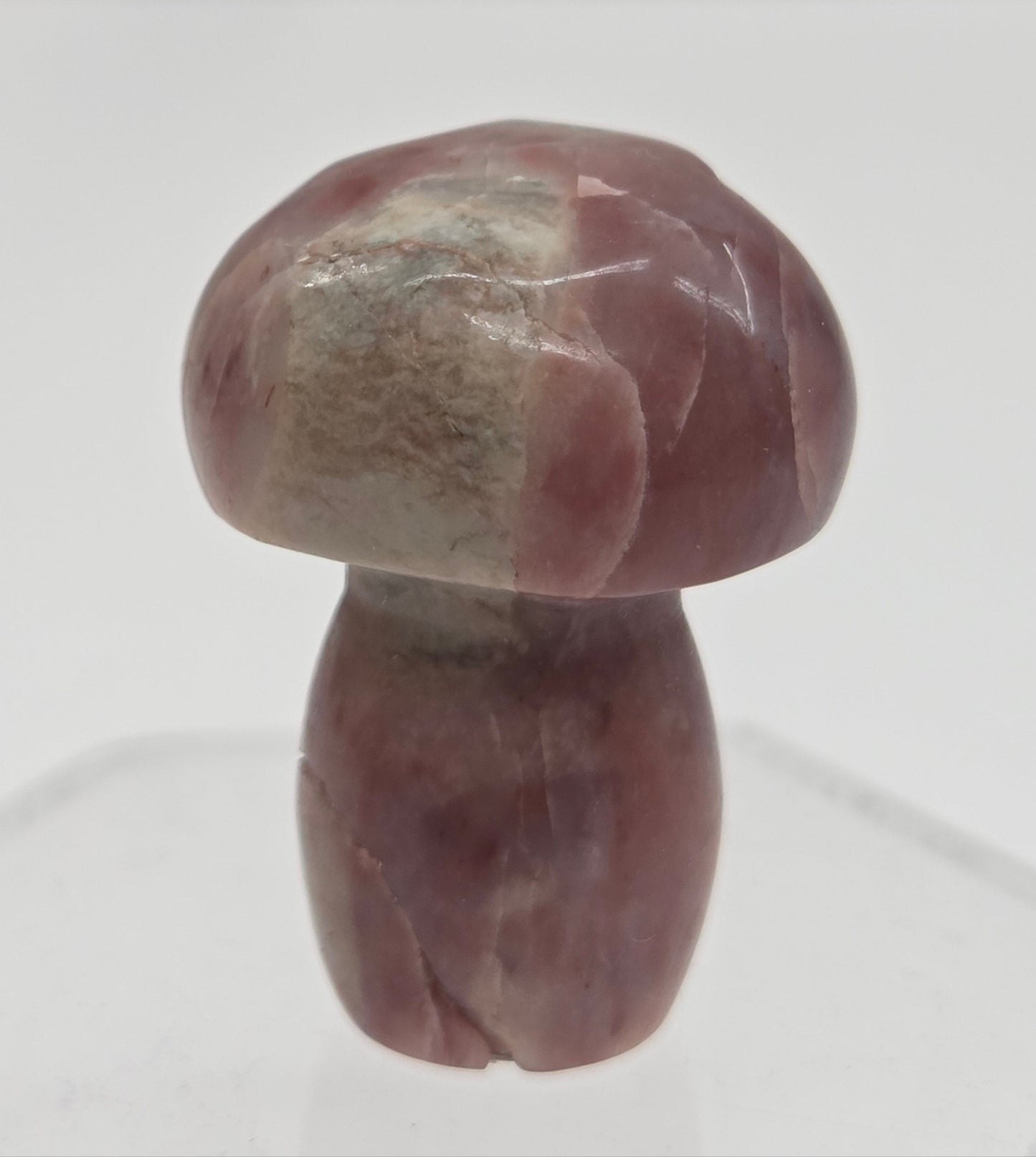 Mushroom (small/medium)