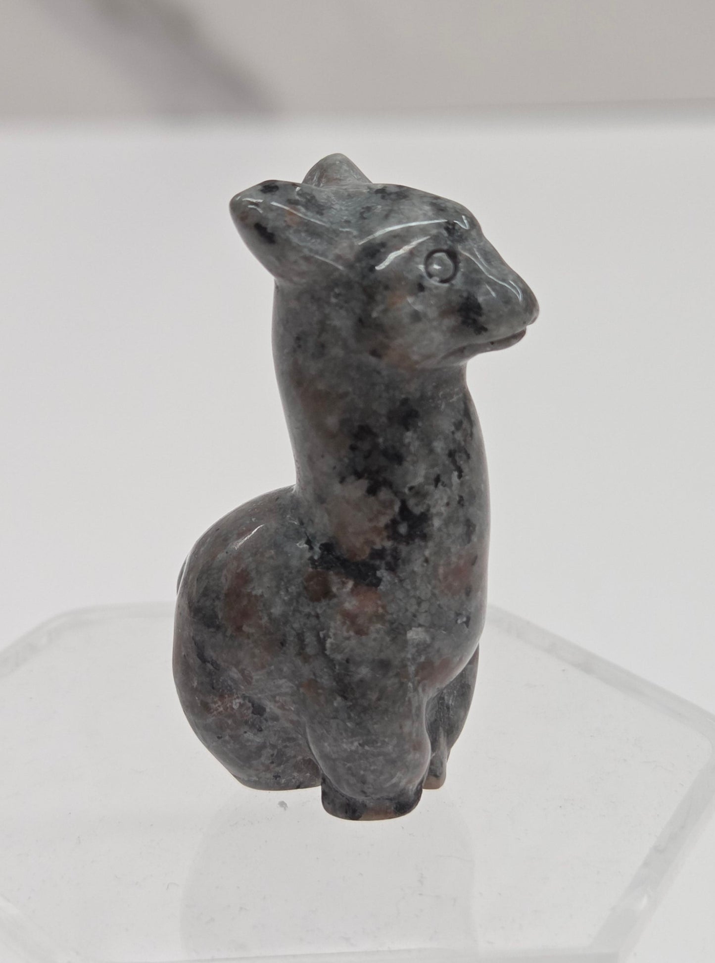 Llama/Alpaca carving