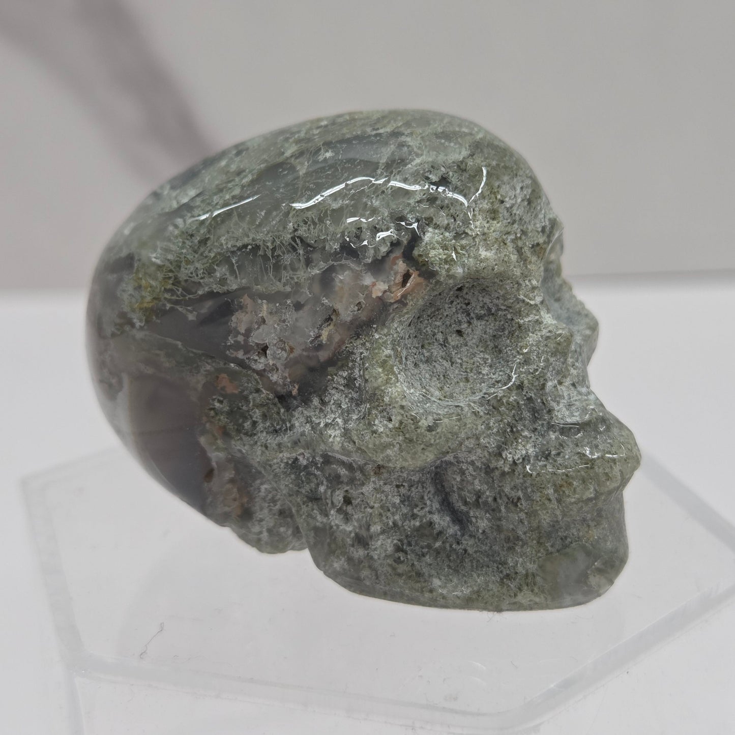 Skull small - Variety of material