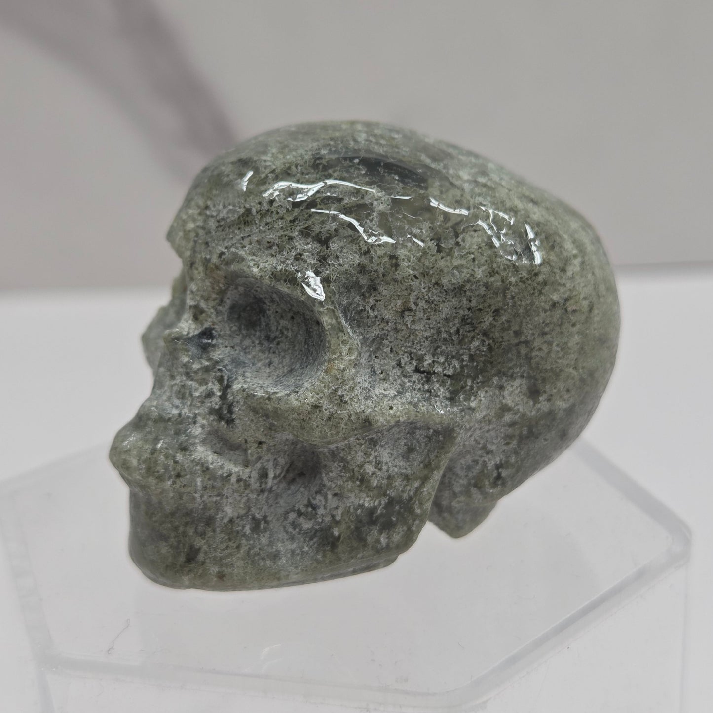 Skull small - Variety of material