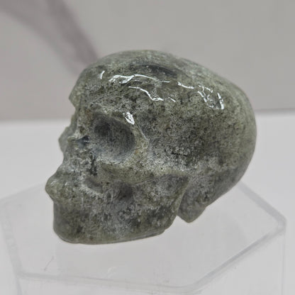 Skull small - Variety of material