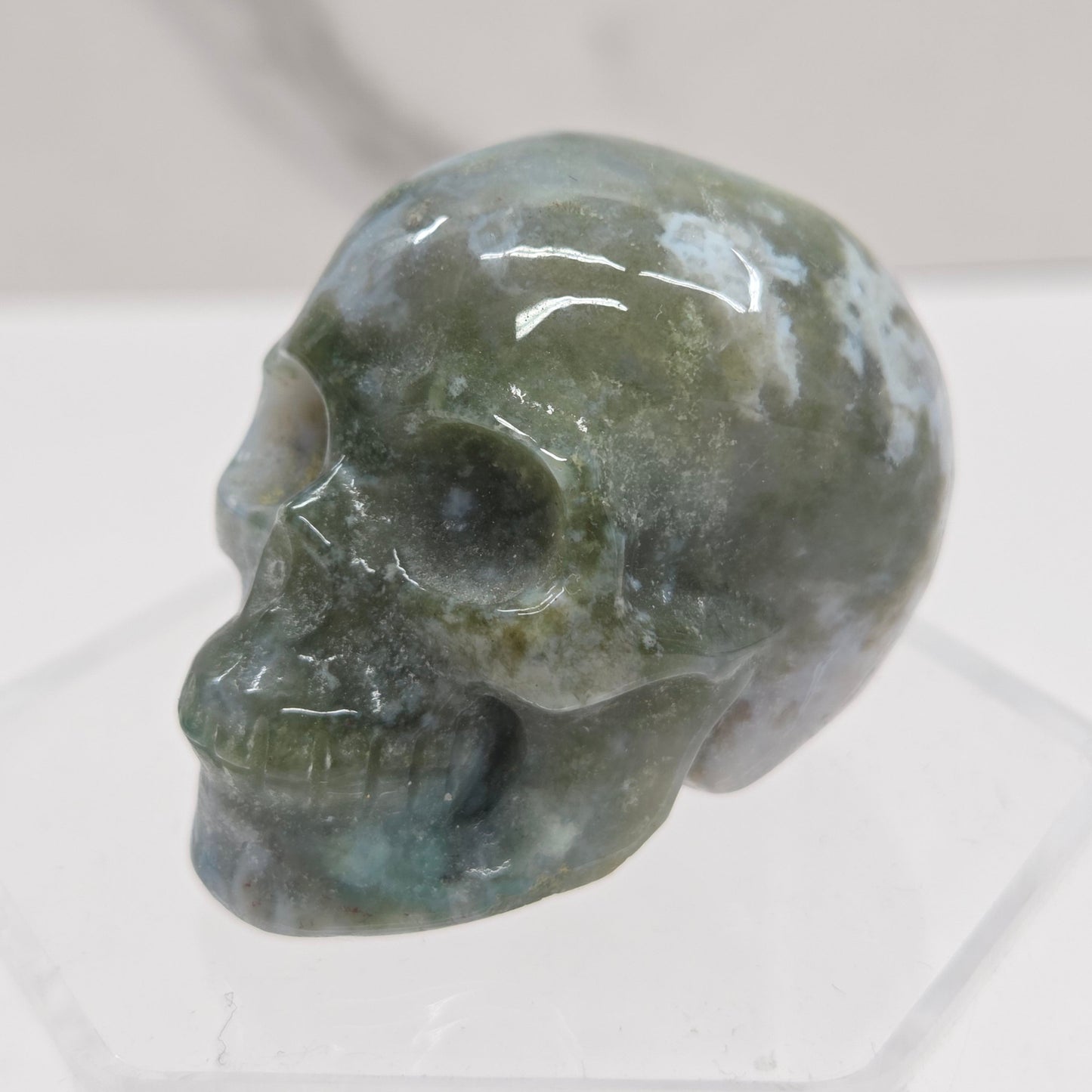 Skull small - Variety of material