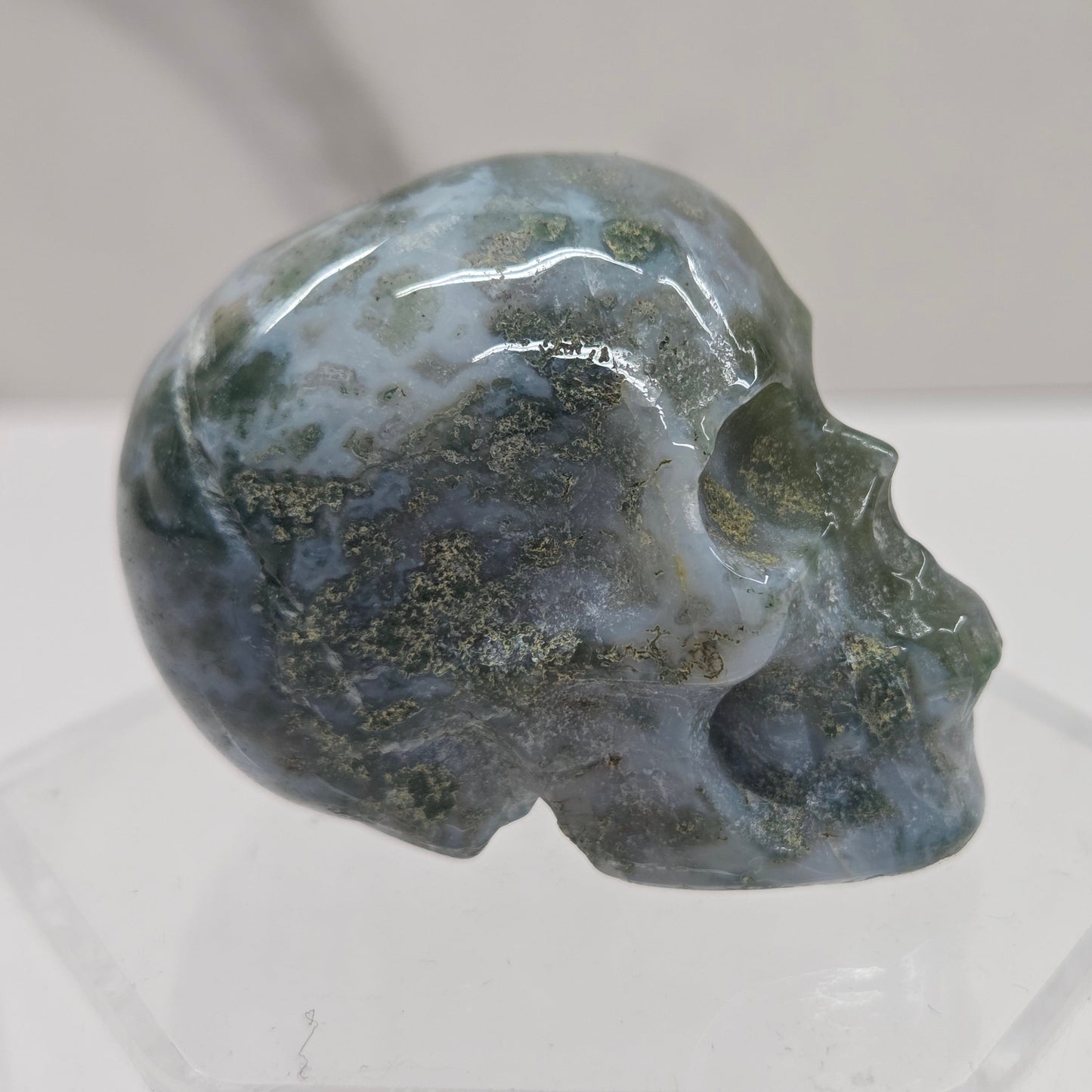 Skull small - Variety of material