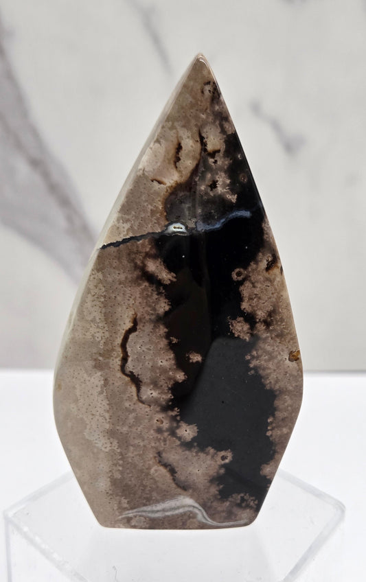 Palm Root teardrop