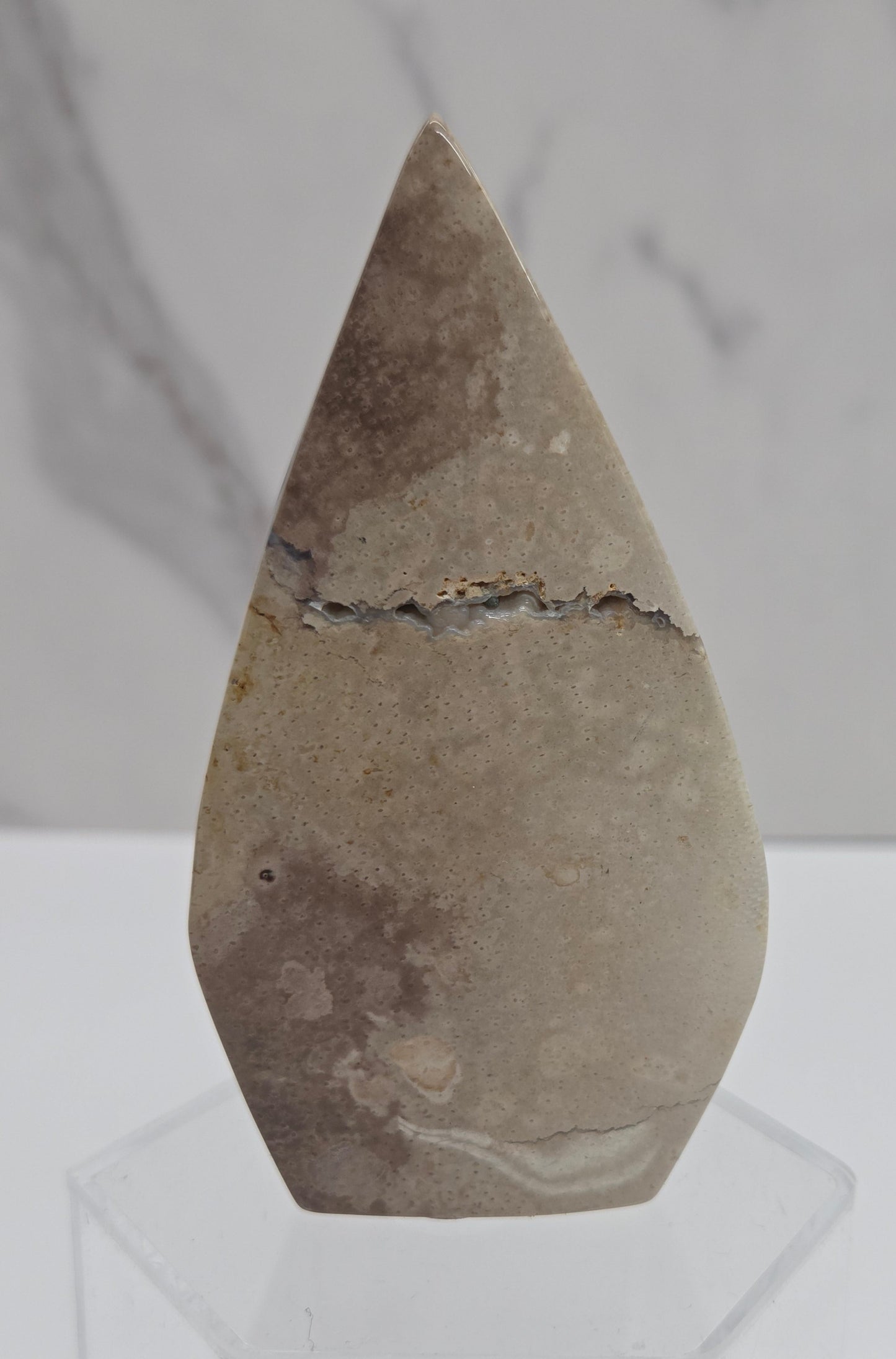 Palm Root teardrop