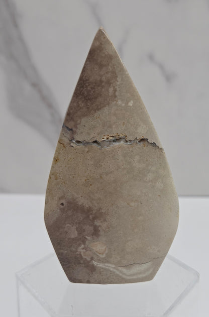 Palm Root teardrop