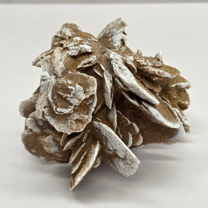Desert Rose specimen