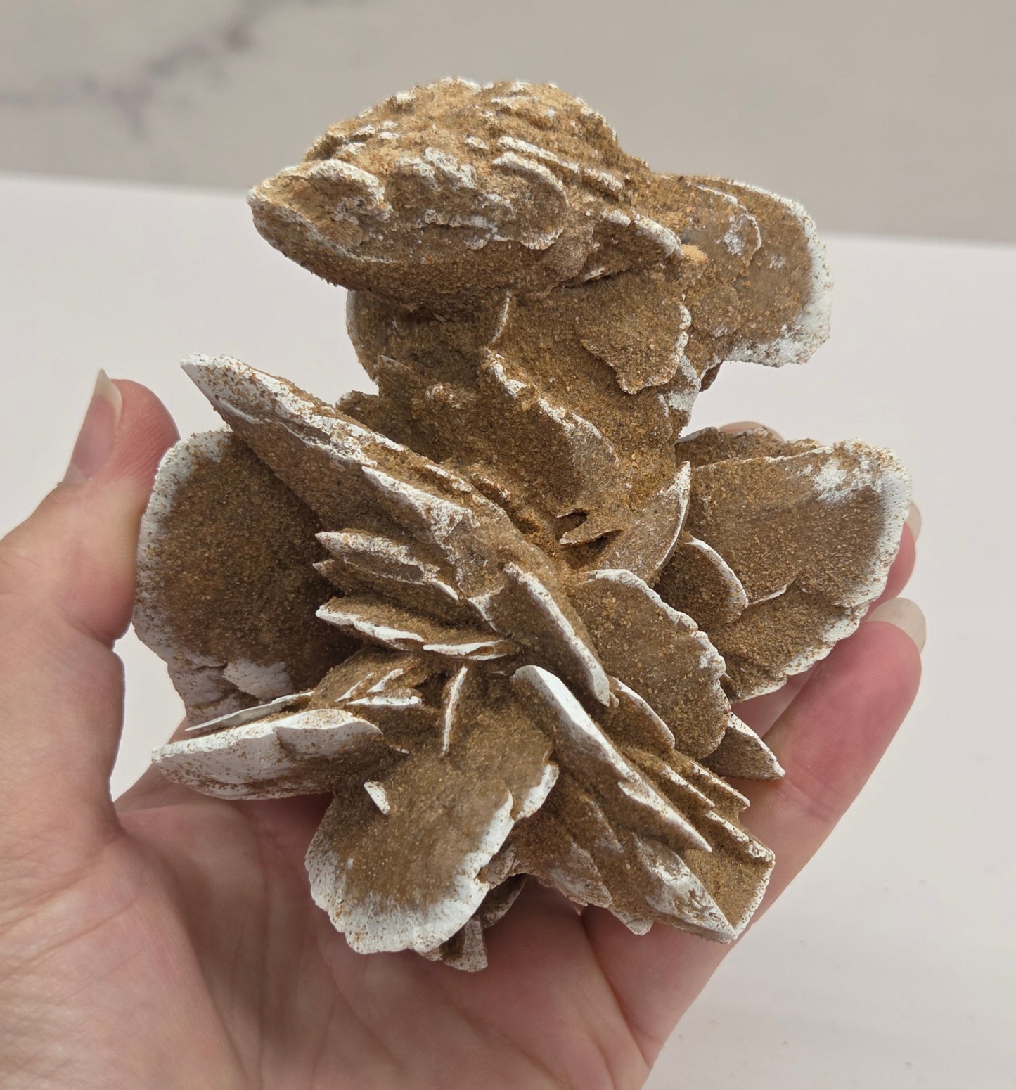 Desert Rose specimen