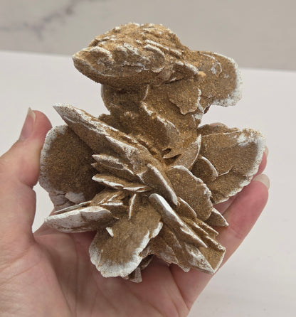 Desert Rose specimen