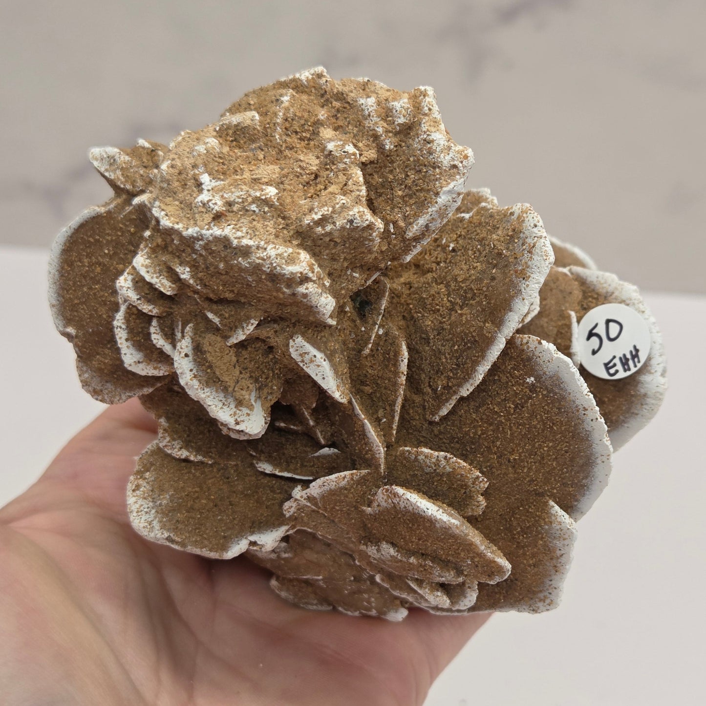 Desert Rose specimen