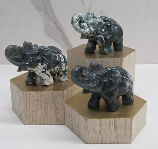 Elephant - Moss Agate (L)