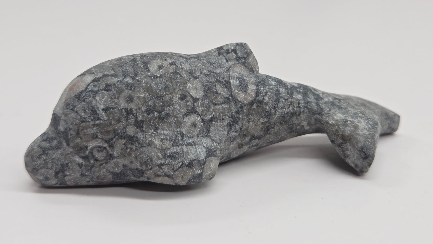 Dolphin carving (M)