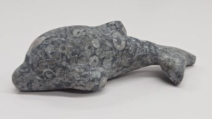 Dolphin carving (M)