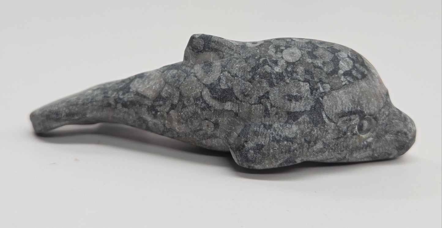 Dolphin carving (M)