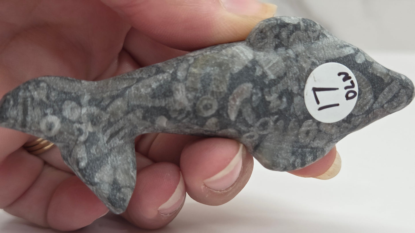 Dolphin carving (M)