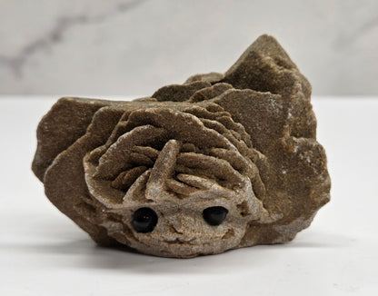 Hedgie - Desert Rose