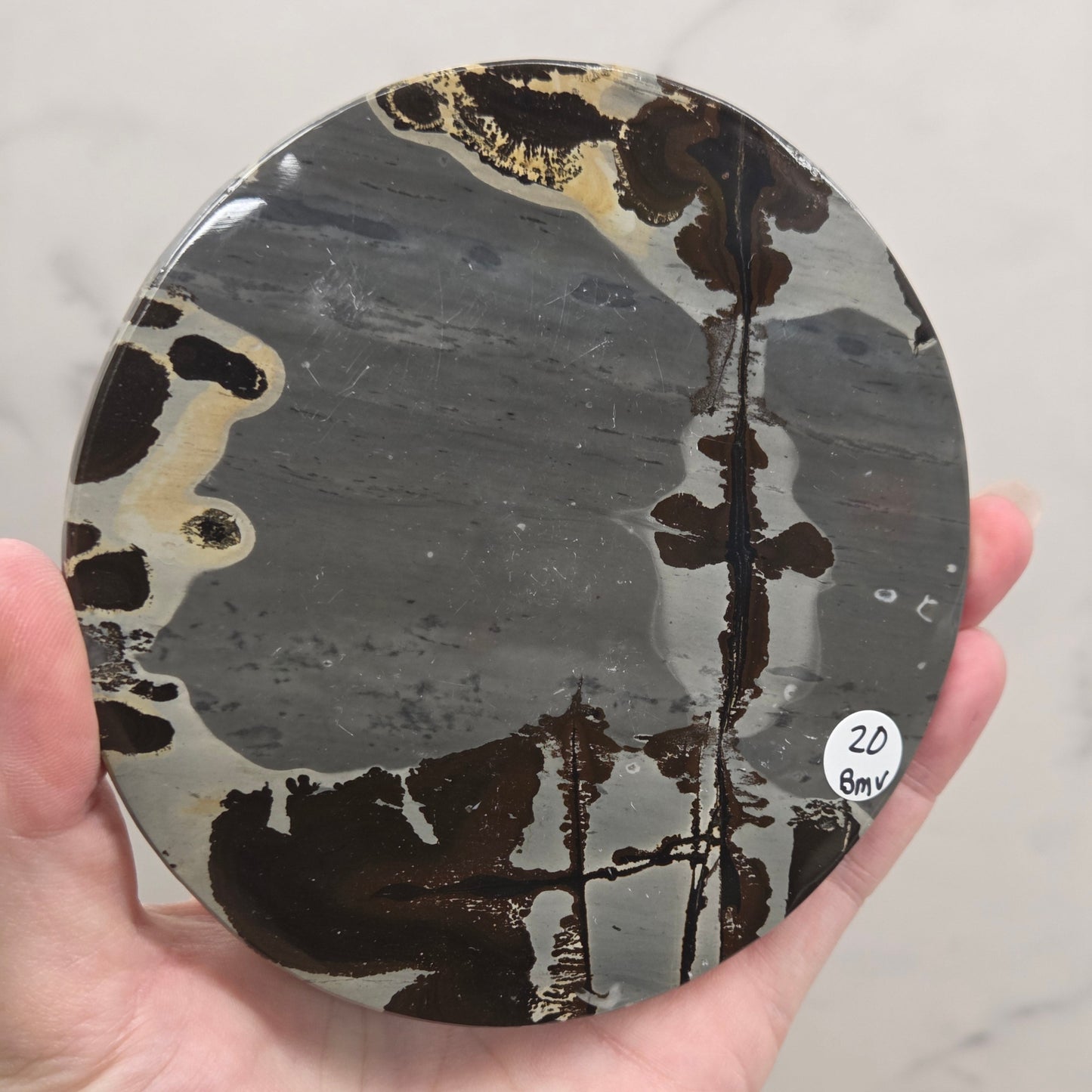 Picture Jasper large round/trivet