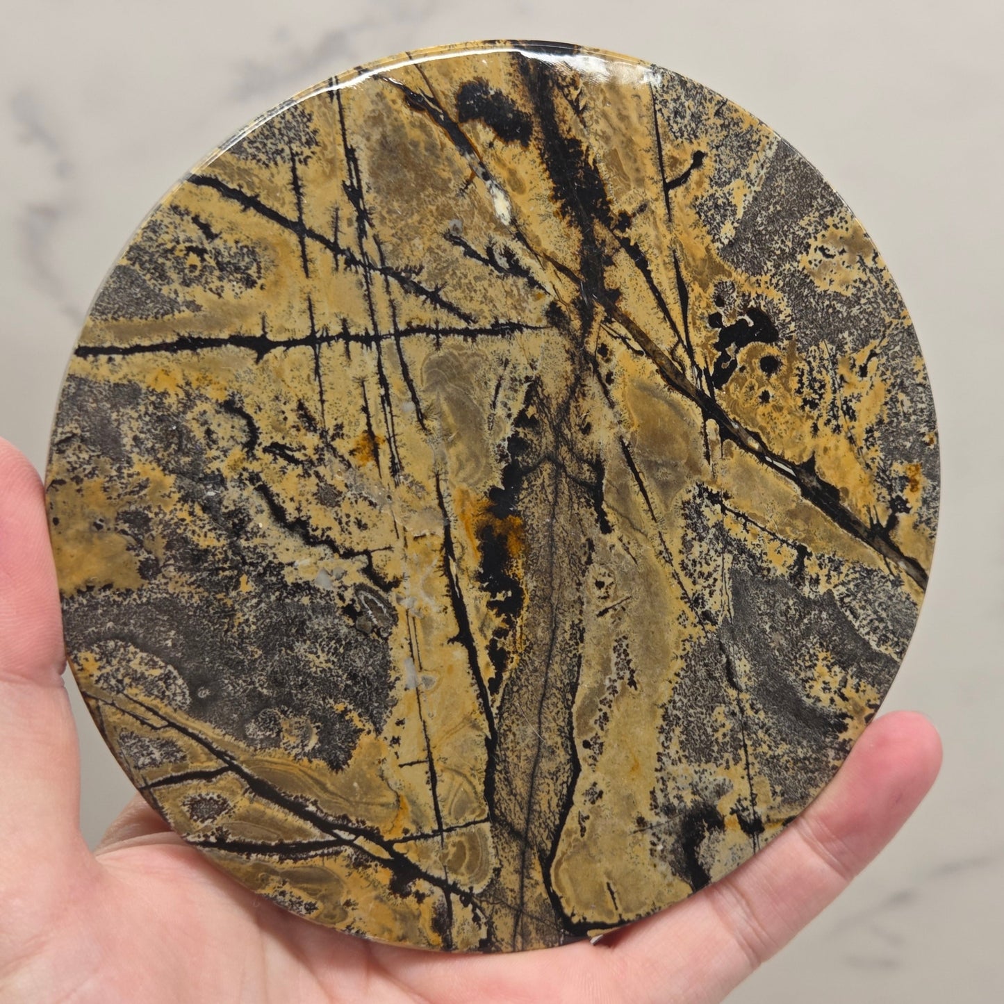 Picture Jasper large round/trivet