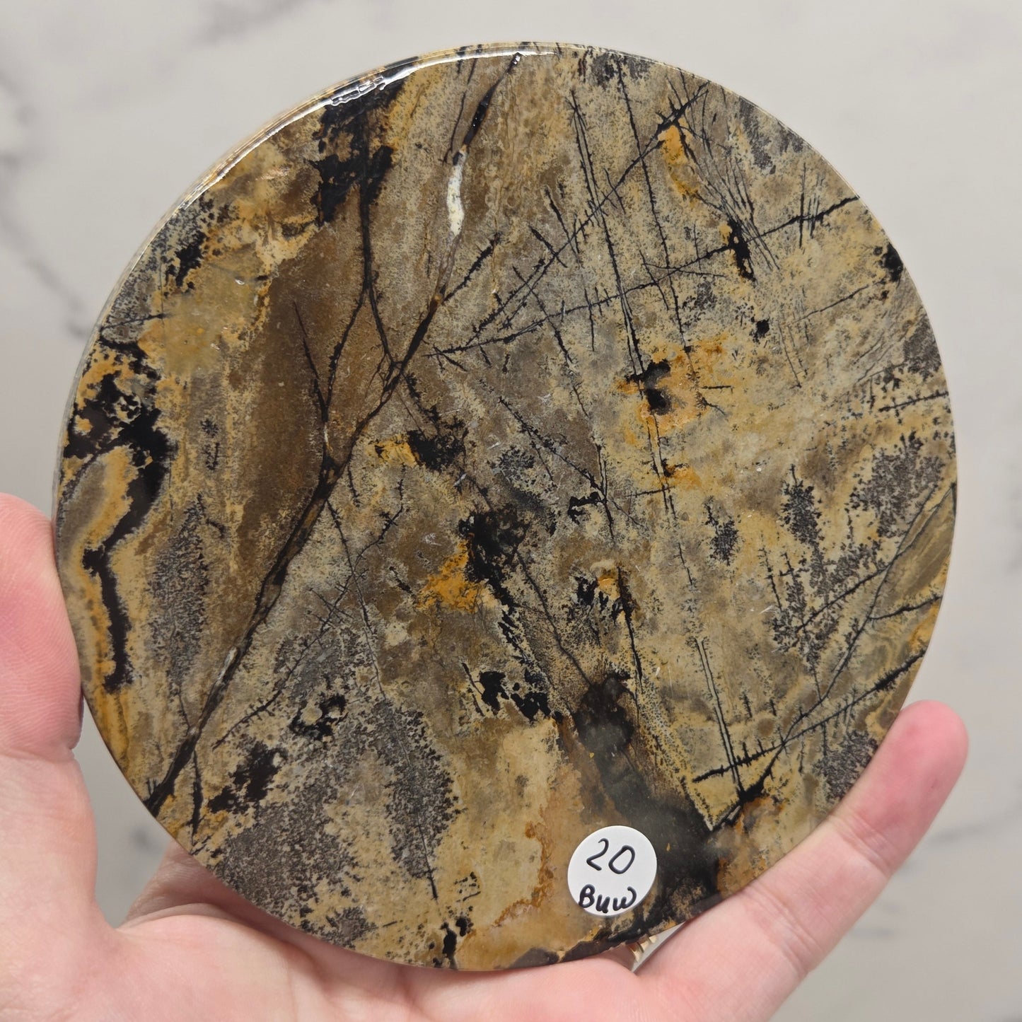Picture Jasper large round/trivet