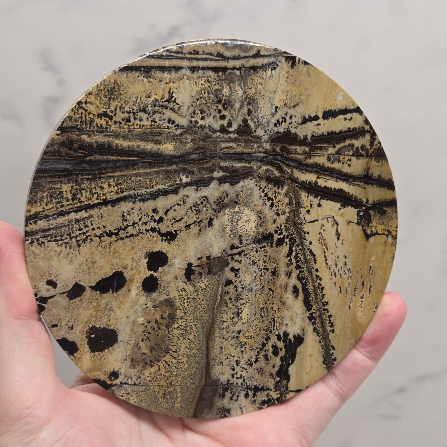Picture Jasper large round/trivet