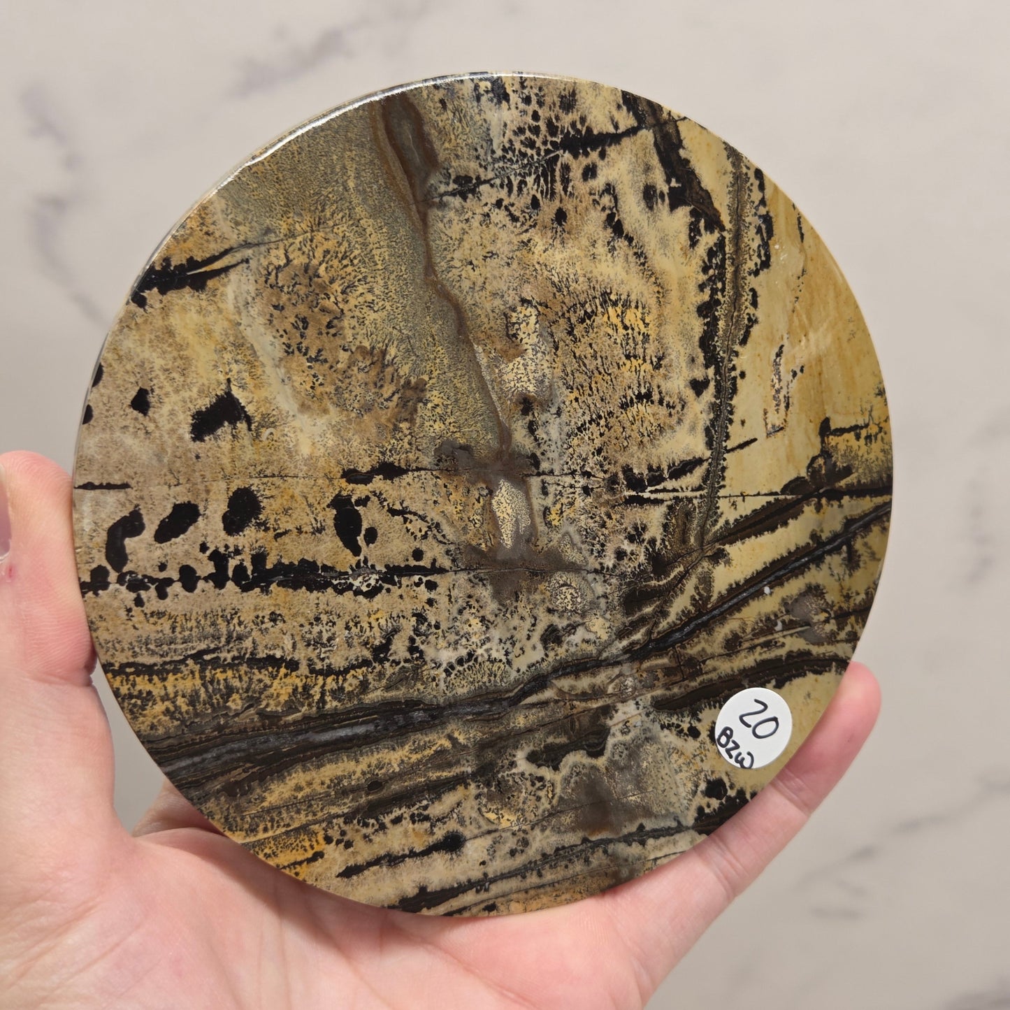 Picture Jasper large round/trivet