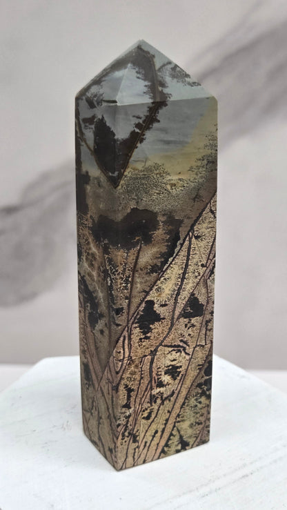 Picture Jasper tower