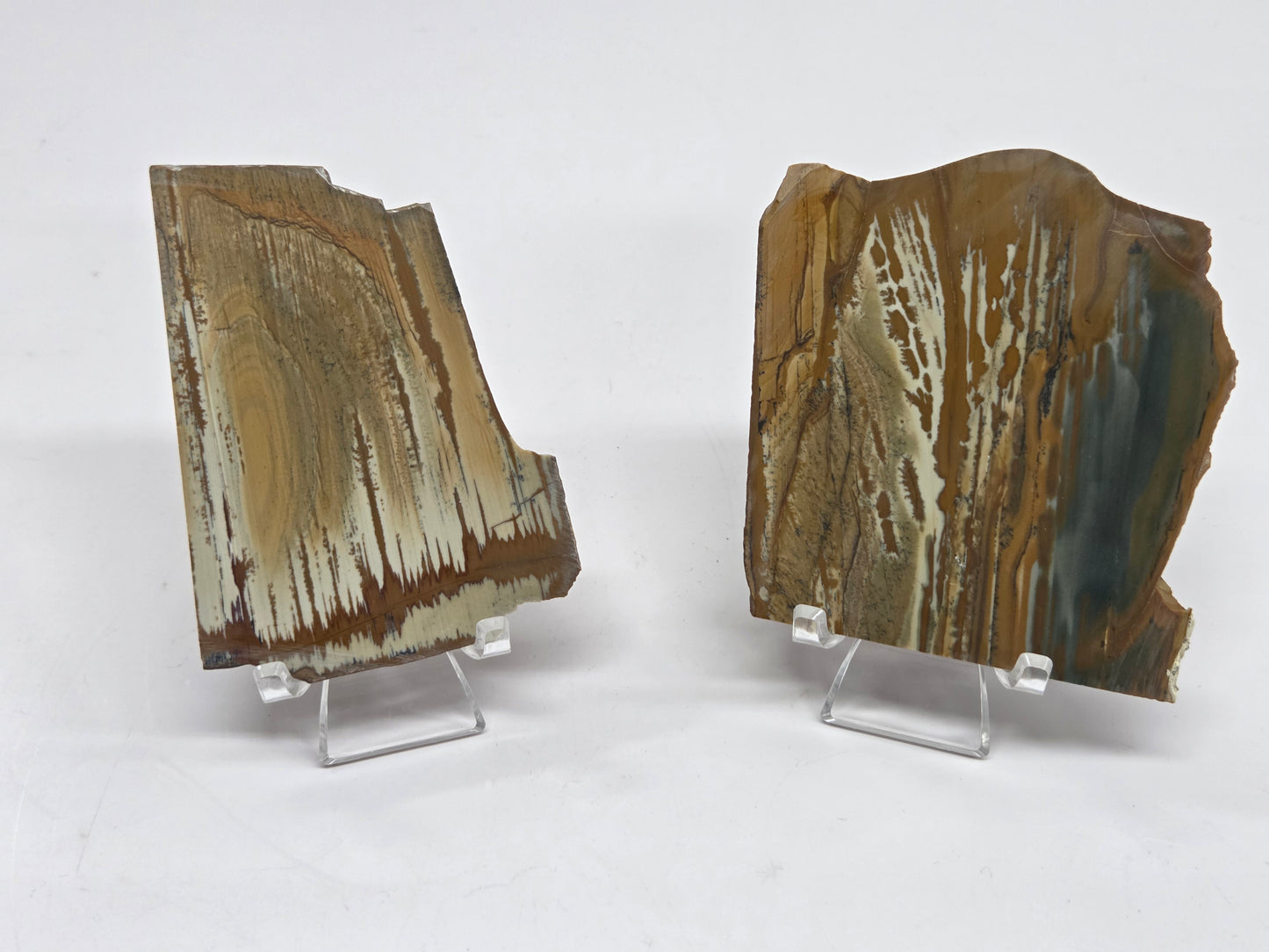 Slab - Owyhee Jasper