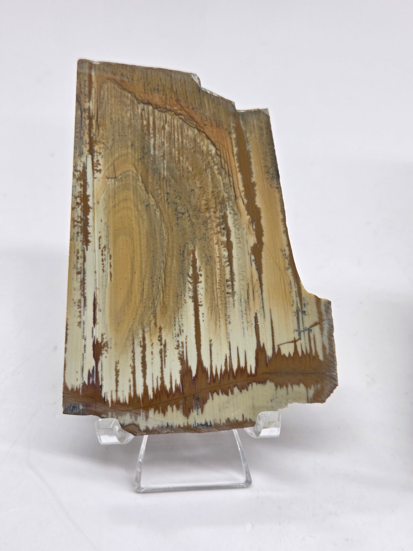 Slab - Owyhee Jasper