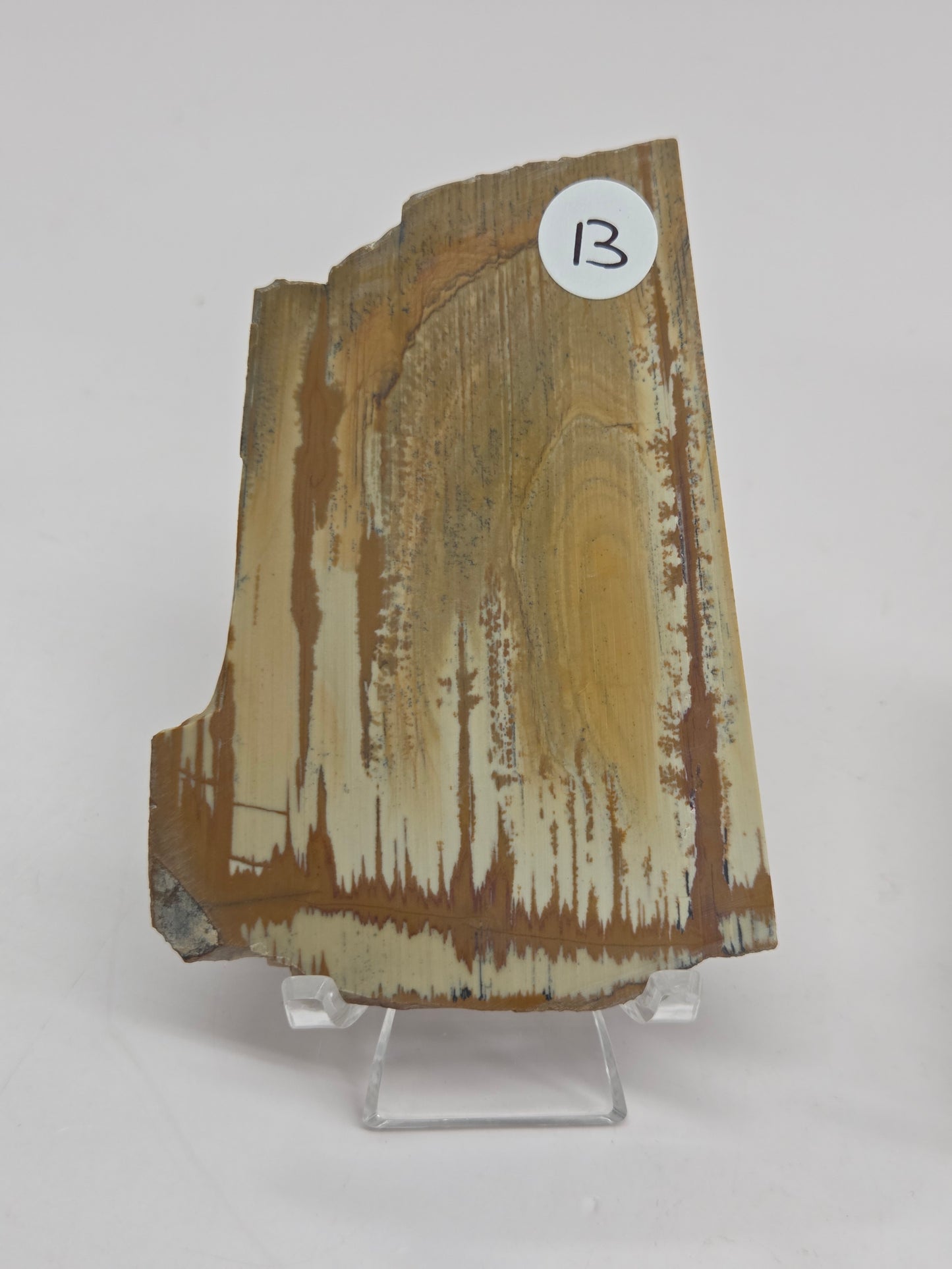 Slab - Owyhee Jasper